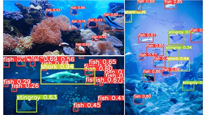 Object Detection Using YOLO v8