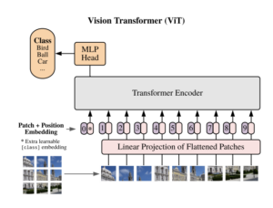 Deep Learning for Computer Vision: Models & Real World Applications