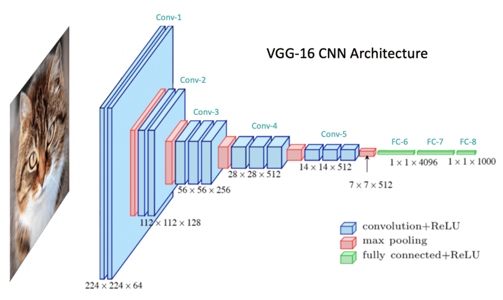 convolutional neural network