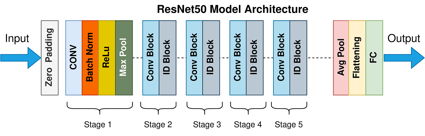 model architecture