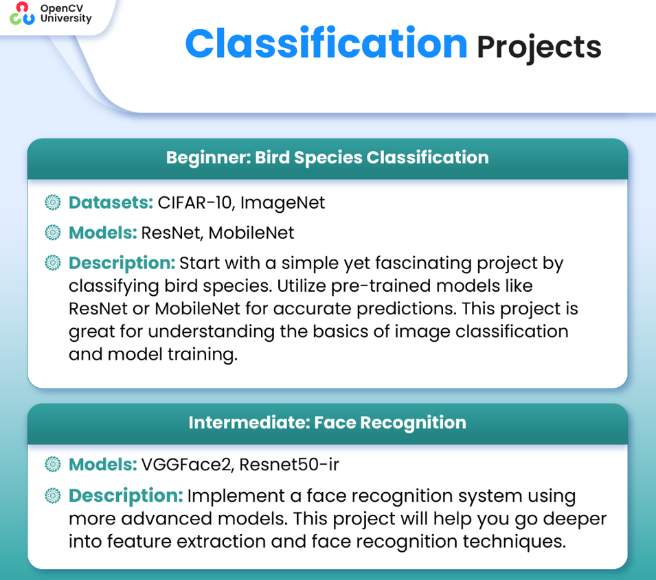 classification projects in computer vision