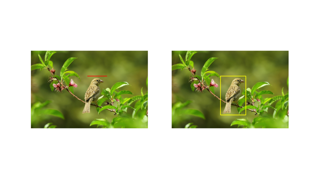 Image Annotations