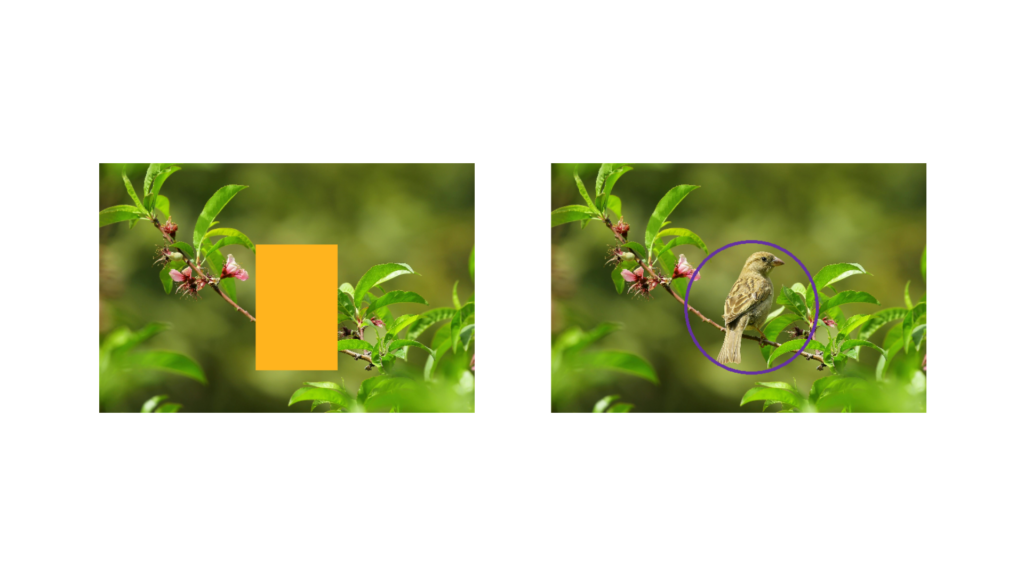 Image Annotations