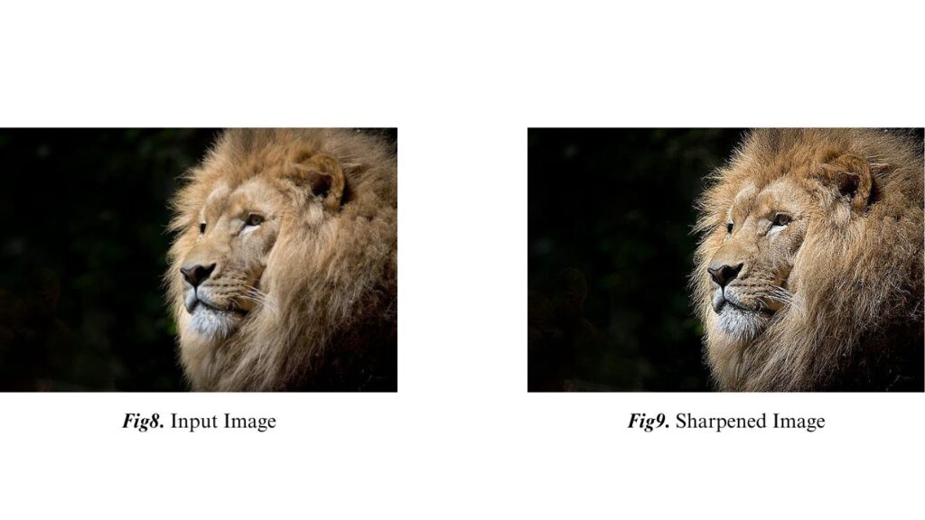 Image filtering exp1