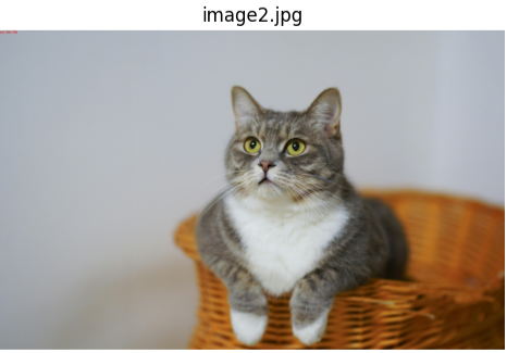 Image Classification Output2 Image