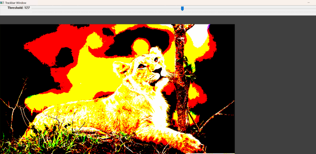 An OpenCV GUI window with a threshold trackbar controlling a processed image of a lioness.