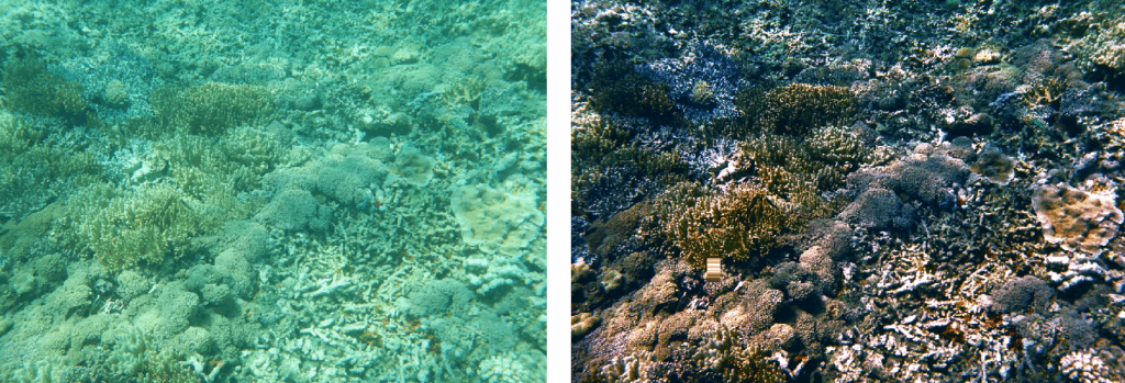Comparison of original and enhanced underwater image using OpenCV