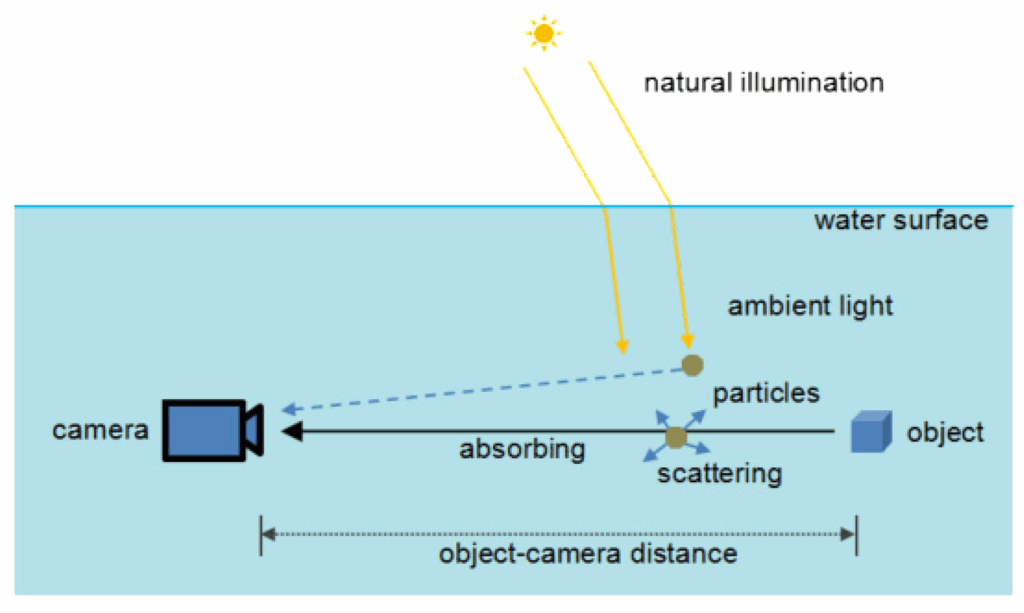 Light scattering in underwater environments