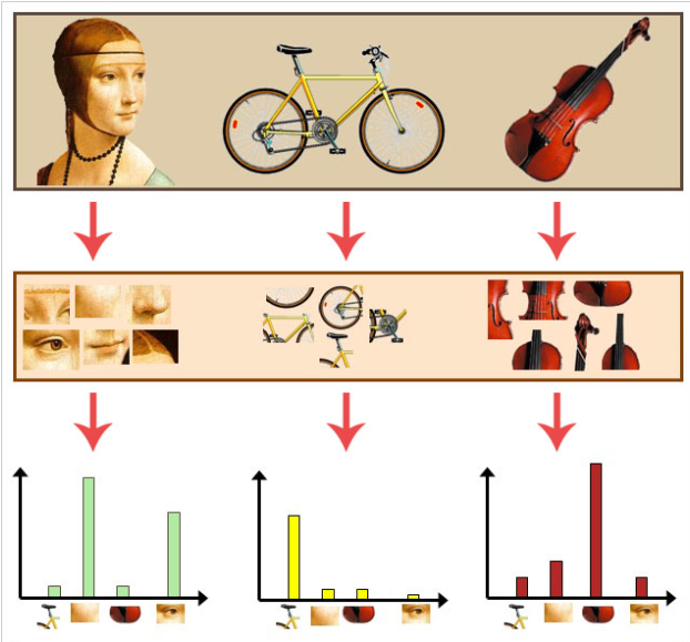 Taking three input images (top), extracting image patches from each of them (middle), and then counting the number of times each visual word appears in the respective images (bottom).